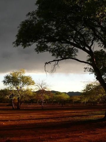 Weite Landschaft mit Bäumen unter dramatischem Himmel in Namibia