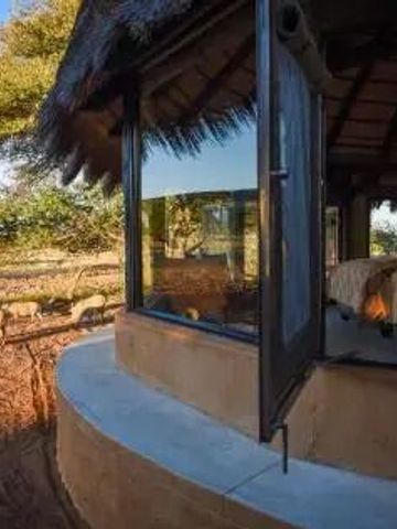 Blick auf den großzügigen Schlafbereich mit großen Fenstern und Umgebung im Okonjima Luxury Bush Camp.