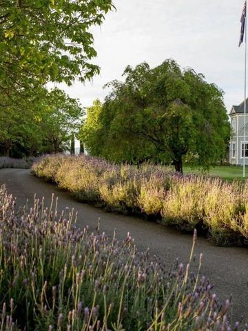 Malerischer Gartenweg gesäumt von Lavendel mit historischem Gebäude im Hintergrund