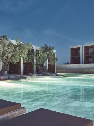 Abendstimmung am Pool mit Olivenbäumen und moderner Architektur