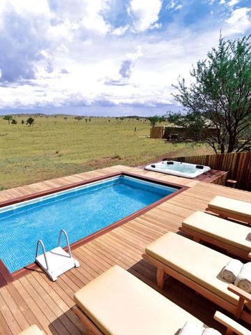 Luxuriöser privater Pool mit Liegen und afrikanischer Steppe