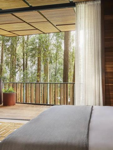 Hotelzimmer mit Balkon und Ausblick auf Bäume im Sonnenlicht.