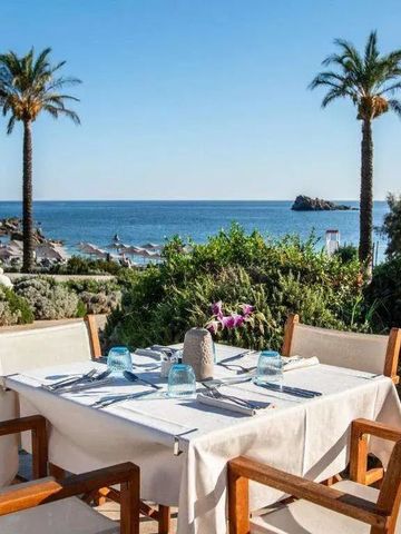 Gedeckter Tisch auf einer Terrasse mit Meerblick und Palmen