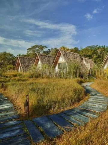 Holzstege führen zu rustikalen Hütten mit Strohdach