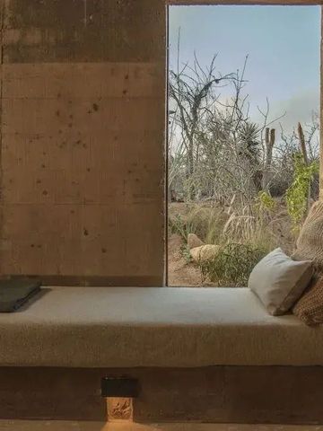 Gemütliche Sitzgelegenheit mit Blick auf einen kaktusreichen Garten