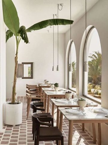 Heller Speisesaal mit Palmen und großen Fenstern