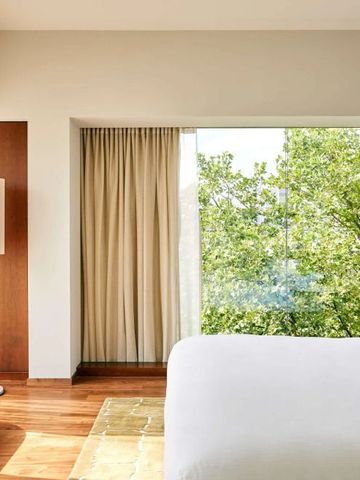 Helles Zimmer im Park Hyatt Zurich mit großem Fenster und Aussicht auf grüne Bäume