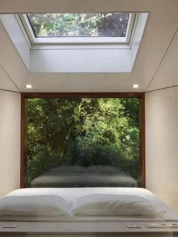 Zimmer mit großem Fenster und Dachfenster mit Blick auf grüne Baumkronen