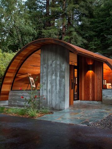 Modernes Architekturdesign mit organischen Formen und Holz in Waldumgebung