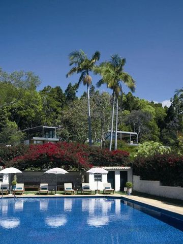 Swimmingpool mit Liegen und tropischen Bäumen im Hintergrund