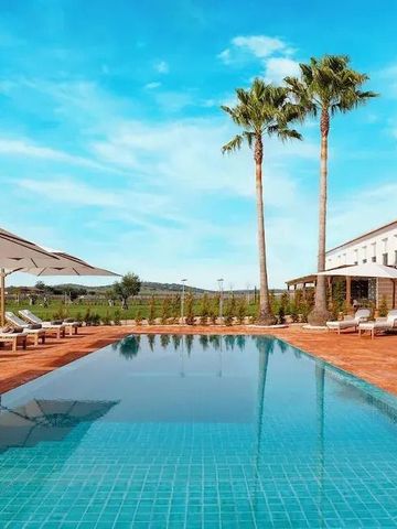 Infinity-Pool mit Sonnenliegen und Palmen im Außenbereich