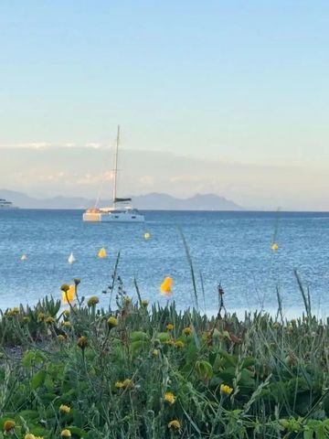Segelboote und Pflanzen am sonnigen Strand