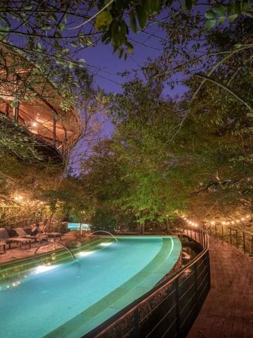 Beleuchteter Infinity-Pool von üppigem Grün umgeben bei Nacht