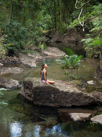 Person meditiert auf einem Felsen in einem üppigen, bewaldeten Flussbett.