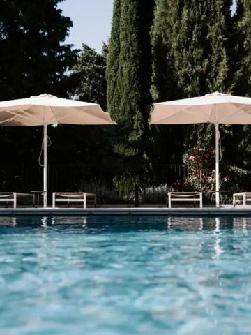 Pool mit Sonnenschirmen und Liegen unter hohen Bäumen