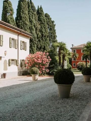 Gepflegter Innenhof mit klassischen Gebäuden und grünen Pflanzen