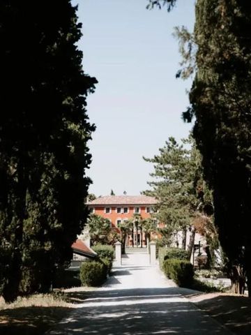 Eindrucksvolle Einfahrt gesäumt von hohen Zypressenbäumen