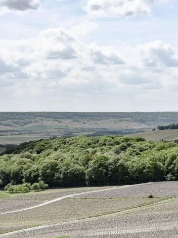 Weitläufige Landschaftsansicht über grüne Weinberge in der Champagne