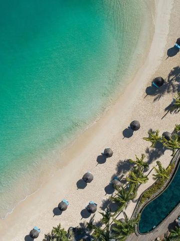 Luftaufnahme eines tropischen Strandes mit kristallklarem Wasser und Palmen.