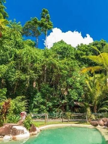 Tropischer Pool umgeben von üppigem Grün und Felsen