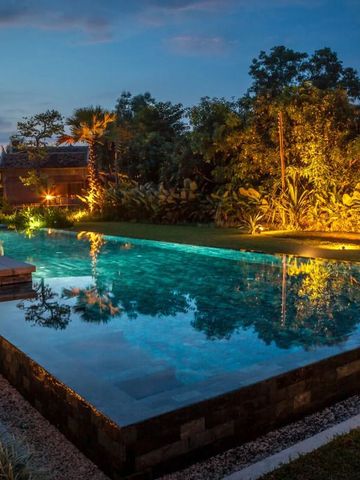 Infinity-Pool mit nächtlicher Beleuchtung und üppiger Vegetation