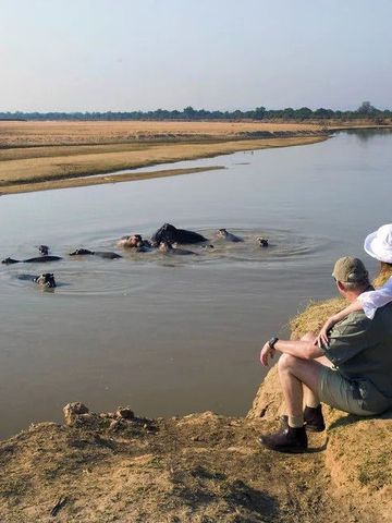 Gäste beobachten Flusspferde im Wasser an einem Flussufer in Afrika