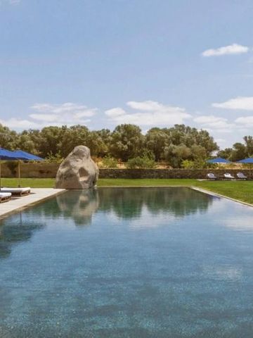 Infinity Pool mit Sonnenliegen und Olivenbäumen im Hintergrund