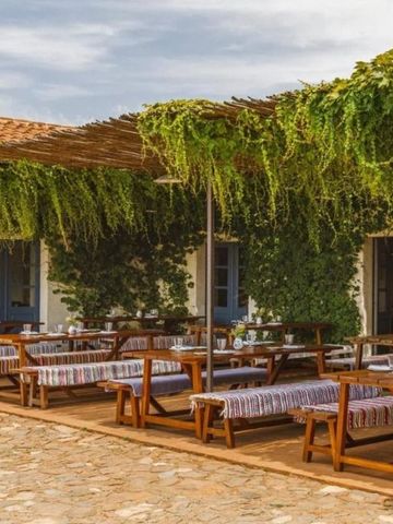 Außenterrasse mit Holztischen und Pflanzenbedeckung