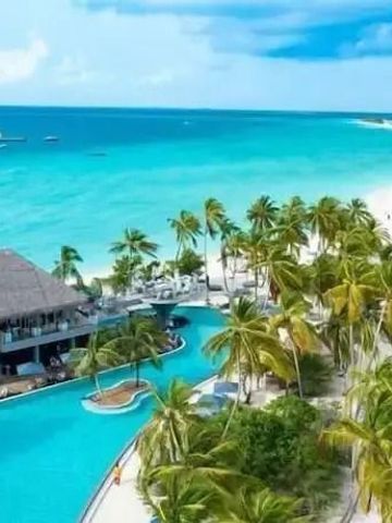Infinity-Pool mit Meerblick umgeben von Palmen und Strand.