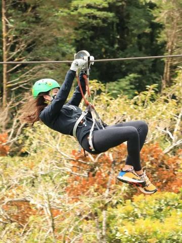 Person auf einer Seilrutsche über einem Waldgebiet