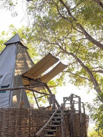 Zeltstruktur auf Plattform mit Treppe in bewaldeter Umgebung