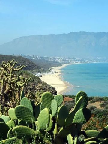 Atemberaubender Blick auf die Küste von Sizilien mit Kakteen und Bergen.