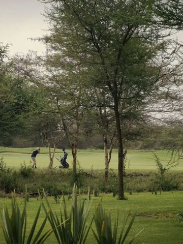 Golfer spielen auf einem grünen Golfplatz umgeben von Bäumen