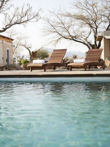 Poolbereich mit Liegestühlen umgeben von Bäumen