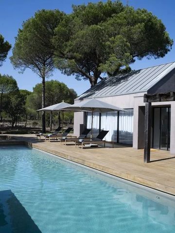 Außenansicht einer Villa mit großem Pool und Sonnenschirmen inmitten von Pinien