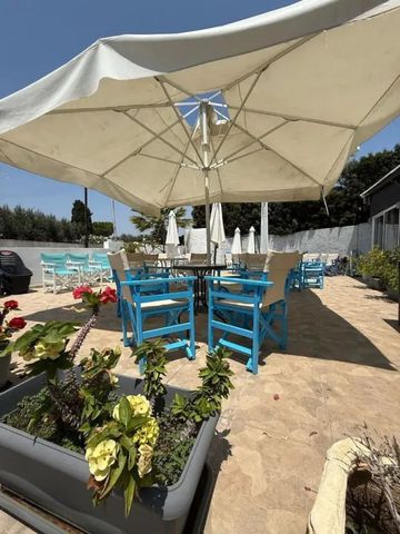 Sonniger Außenbereich mit blauen Stühlen und Sonnenschirmen