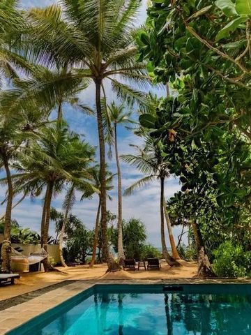 Exotischer Poolbereich umgeben von Palmen und grüner Natur