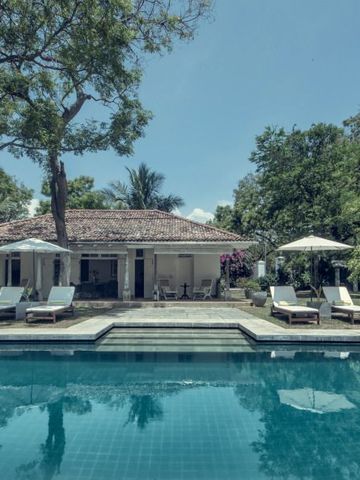 Außenansicht des Pools mit Sonnenliegen und üppiger Vegetation