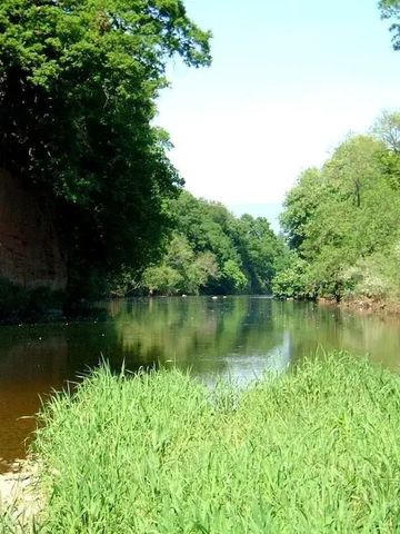 Idyllischer Flusslauf umgeben von grünen Bäumen und Vegetation