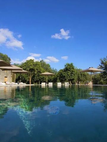 Infinity-Pool mit Sonnenschirmen und Bäumen im Hintergrund unter blauem Himmel