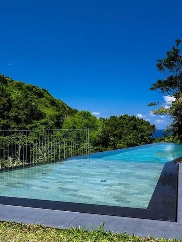 Infinity-Pool mit Blick auf üppige grüne Landschaft und blauen Himmel