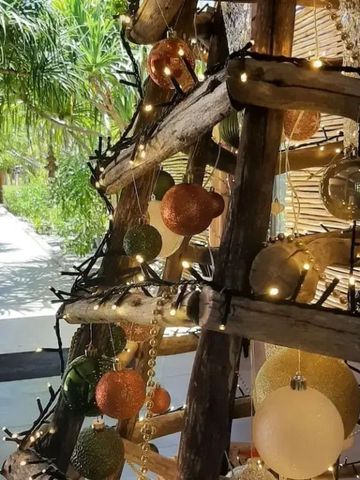 Weihnachtlich dekorierter Weg mit Lichterketten in tropischer Umgebung