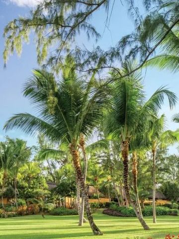 Gartenlandschaft mit Palmen und gepflegtem Rasen