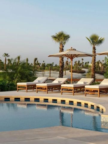 Poolbereich mit Liegen und Palmen in einer sonnigen Gartenanlage