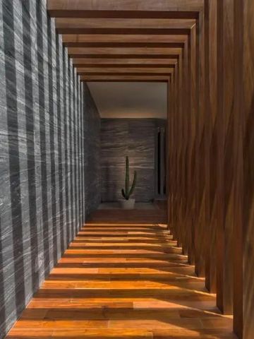 Holzverkleideter Korridor mit Licht- und Schattenspiel und Zimmerpflanze