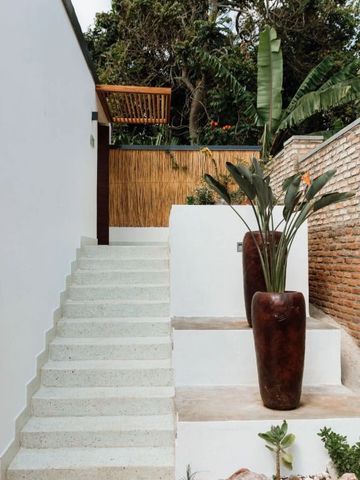 Treppe im Außenbereich mit Pflanzen und Ziegelwand