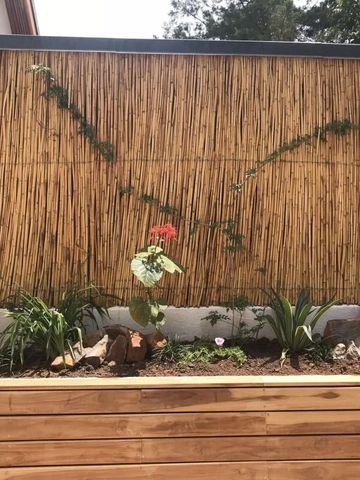 Gartenwand mit Kletterpflanzen und Blumenbeet