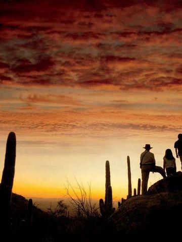 Sonnenuntergang in der Wüste mit Silhouetten von Menschen und Kakteen