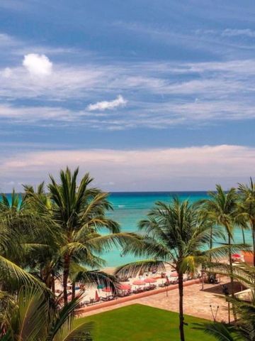 Blick auf palmengesäumten Strand und türkises Meer unter blauem Himmel