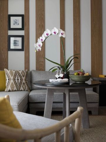 Luxuriöser Wohnbereich eines Hotelzimmers mit grauem Sofa und Orchidee